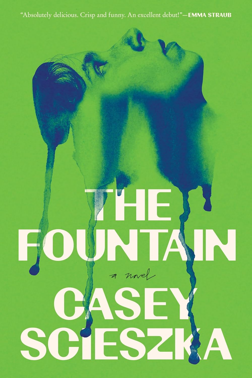 (The) fountain :a novel 표지이미지