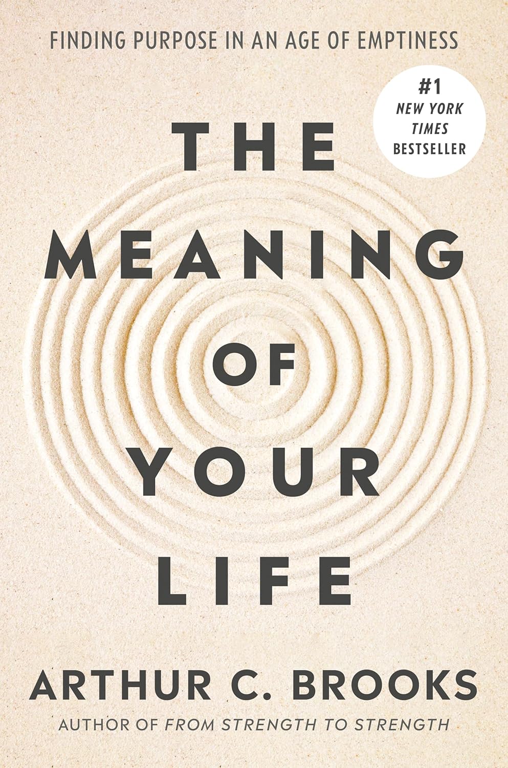 (The) meaning of your life :finding purpose in an age of emptiness 표지이미지