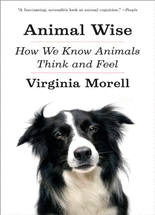 Animal Wise :How We Know Animals Think and Feel