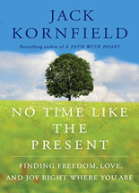 No time like the present :finding freedom, love, and joy right where you are