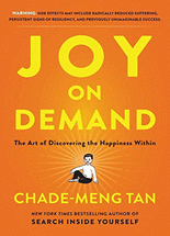 Joy on demand :the art of discovering the happiness within