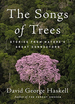 (The) songs of trees :stories from nature's great connectors