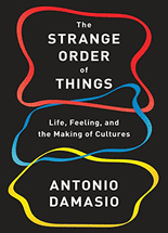 The strange order of things :life, feeling, and the making of the cultures