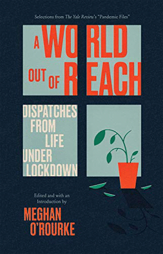 (A) world out of reach :dispatches from life under lockdown