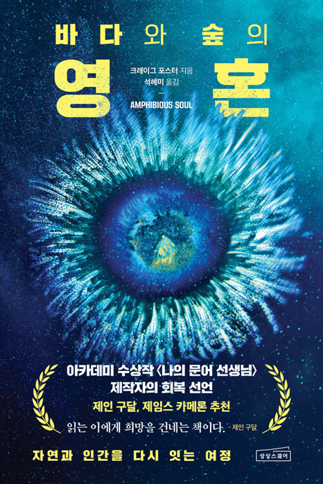 바다와 숲의 영혼 :자연과 인간을 다시 잇는 여정 표지이미지